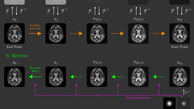 Learning Fourier-Constrained Diffusion Bridges for MRI Reconstruction